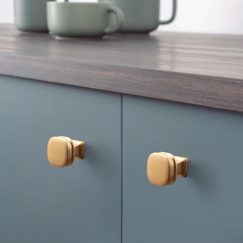 10-Piece Gold Brushed Tray Pull Set