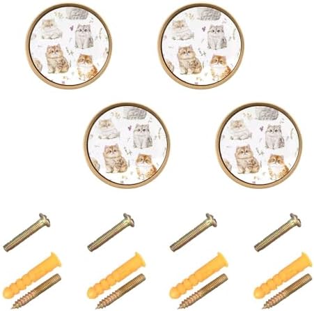 Customizable Cartoon Rex Cat Knobs for Chest Drawers 4-Piece Set